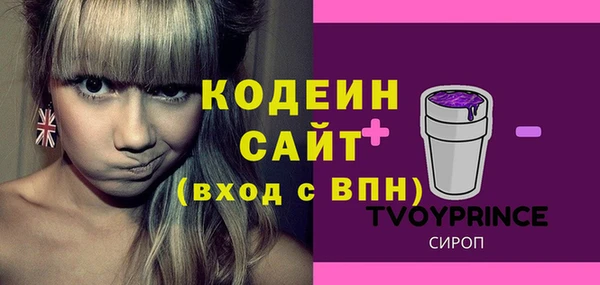 тгк Корсаков